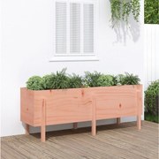 vidaXL Ζαρντινιέρα Υπερυψωμένη 160x50x57 εκ. Μασίφ Ξύλο Ψευδοτσούγκας