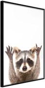 Αφίσα - Funny Racoon - 40x60 - Μαύρο - Χωρίς πασπαρτού