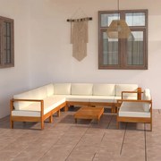 vidaXL Σετ Σαλόνι Κήπου 9 Τεμαχίων με Μαξιλάρια 100x60 εκ. από Ξύλο Ακακίας