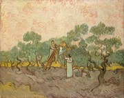 Αναπαραγωγή The Olive Pickers, Saint-Remy, 1889, Vincent van Gogh