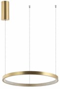 Φωτιστικό Οροφής Κύκλος 2007 Led 3000K 50W Φ80cm Brushed Gold Matt Αλουμίνιο,Ακρυλικό