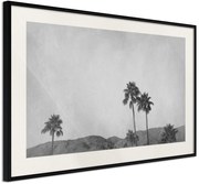 Αφίσα - Sky of California - 60x40 - Μαύρο - Με πασπαρτού