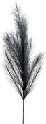 Κλαδί Pampas Μαύρο 110εκ. Zen Collection 25.32.51784