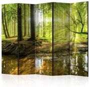 Διαχωριστικό με 5 τμήματα - Forest Lake II [Room Dividers] 225x172