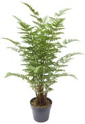 Τεχνητό Φυτό Φτέρη Maidenhair 90 εκ. 0960-6 Supergreens-0960-6-Πράσινο 0960-6