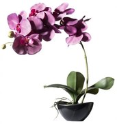 Τεχνητό Φυτό Ορχιδέα Phalaenopsis Real Touch Μωβ με Κασπώ 48 εκ. 2170-6 Supergreens 2170-6 Μωβ