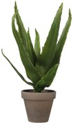 Τεχνητό Φυτό Σε Γλάστρα (Φ16x30) Edelman Aloe Green 1079778