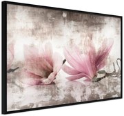 Αφίσα - Picked Magnolias - 60x40 - Μαύρο - Χωρίς πασπαρτού