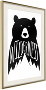 Αφίσα - Wild Bear - 40x60 - Χρυσό - Με πασπαρτού