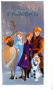 Πετσέτα Θαλάσσης Παιδική Microfiber 70x140εκ. Frozen 89 Lilac Disney DimCol