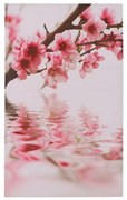 Πίνακας Καμβάς Flowers 120x70x2.5 Εκ.