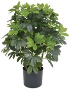 Τεχνητό Φυτό Σε Κασπώ Σεφλέρα 04-24171 70cm Green Marhome Συνθετικό Υλικό