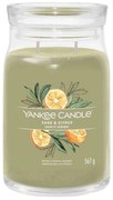 Αρωματικό Κερί Signature Sage &amp; Citrus Large 1629961E 9,3x15,7cm Green Yankee Candle