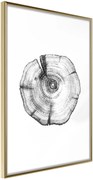 Αφίσα - Tree Rings - 40x60 - Χρυσό - Χωρίς πασπαρτού