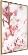 Αφίσα - Cotton Flowers - 40x60 - Χρυσό - Χωρίς πασπαρτού