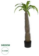 GloboStar® Artificial Garden PACHYPODIUM LAMEREI PALM TREE 20129 Τεχνητό Διακοσμητικό Φυτό Φοίνικας της Μαγαδασκάρης Υ105cm