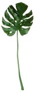 Φύλλωμα – κλαδί Asa 34cm philodendron blatt 4024433332862-000M