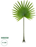 GloboStar® Artificial Garden SERENOA PALM LEAF 20172 Τεχνητό Διακοσμητικό Φύλο Φοινικόδεντρου Σερενόα Βεντάλια Π77 x Υ140cm