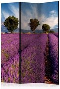 Διαχωριστικό με 3 τμήματα - Lavender field in Provence, France [Room Dividers]