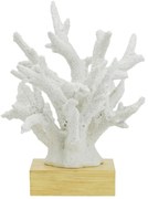Artekko Coral Διακοσμητικό Κοράλλι σε Βάση Ρητίνη Ξύλο Λευκό (26x23x31)cm Artekko 70534