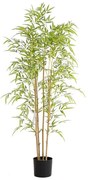 BAMBOO NP6320_150_22 Ύψος 150cm