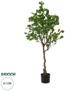 20190 GloboStar®  Artificial Garden EUCALYPTUS 20190 Τεχνητό Διακοσμητικό Φυτό Ευκάλυπτος Υ120cm
