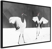 Αφίσα - Bird Date - 60x40 - Μαύρο - Χωρίς πασπαρτού