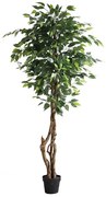 FICUS TREE NP5209_180  ΥΨΟΣ 180cm NewPlan