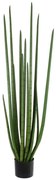 Τεχνητό Φυτό Σε Γλάστρα Sansevieria Cylindrica 20211 160cm Light Green Globostar Polyethylene
