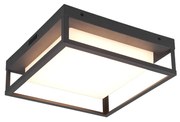 Φωτιστικό Οροφής Εξωτερικού Χώρου Trio Lighting Witham 677860142 Ανθρακί