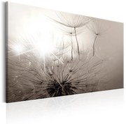 Πίνακας - Beautiful Summer: Dandelions 90x60