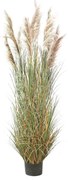 Supergreens Τεχνητο Φυτό Χορτάρι "Reed" Πράσινο 280 εκ.