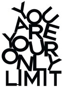 Διακοσμητικό Τοίχου limit 279ENZ1791 37x52cm Black Wallity Μέταλλο