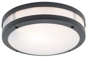 Φωτιστικό Οροφής - Πλαφονιέρα Chios IP44 4081701 Anthracite Viokef Αλουμίνιο