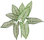 Τεχνητό Φυτό Συγγόνιο - Μπουκέτο Διακοσμητικών Φυτών - Κλαδιών με Φύλλωμα Πράσινο - Λευκό Υ37cm Globostar-78224-Πράσινο 78224