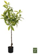 ΔΙΑΚΟΣΜΗΤΙΚΟ ΣΥΝΘΕΤΙΚΟ ΦΥΤΟ HM4018 ΠΑΧΥΡΑ ΜΕ ΓΛΑΣΤΡΑ 125Υ εκ.