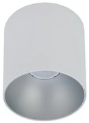 Σποτ Φωτιστικό Οροφής POINT TONE 10W GU10 Nowodvorski-8220-Λευκό-Ασημί 8220
