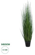 GloboStar® Artificial Garden MISCANTHUS SINENSIS 20116 Τεχνητό Διακοσμητικό Φυτό Μίσχανθος Υ120cm