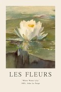 Αναπαραγωγή White Water Lily (Les Fleurs / The Flower Collection)