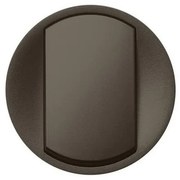 Πλακίδιο Διπολικού Διακόπτη Graphite Celiane 067921 Legrand-67921-Ανθρακί 067921