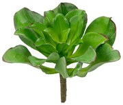 Supergreens Τεχνητό Χωνευτό Παχύφυτο "Veggie" Πράσινο 16 εκ