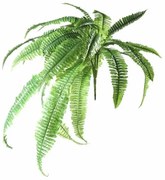 Τεχνητή Χωνευτή Φτέρη 100 εκ. 7421-7 Supergreens-7421-7-Πράσινο 7421-7
