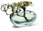 Βάζο Amara Lateral 107015 28x10x15,2cm Clear-Green Philippi Γυαλί