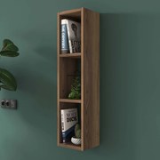 Βιβλιοθήκη Τοίχου 3 Θέσεων (22x18.5x90) A-G 893RAN2309 Walnut