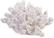 Artekko Coral Διακοσμητικό Κοράλλι Ρητίνη Λευκό (21.1x19.1x12)cm Artekko 74993