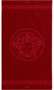 ΠΕΤΣΕΤΑ ΘΑΛΑΣΣΗΣ 90Χ170 450GSM RED ZEUS Makis Tselios ZEUS RED