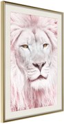 Αφίσα - Dreamy Lion - 40x60 - Χρυσό - Με πασπαρτού