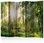 Διαχωριστικό με 5 τμήματα - Untamed Nature II [Room Dividers] 225x172