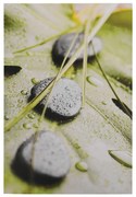 Πίνακας Καμβάς Stones 60x90x2.5 Εκ.