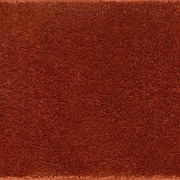 Μοκέτα Elite Terra Ns Carpets 400X